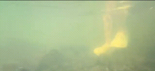 11 (3).gif