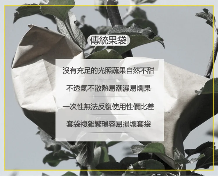 17.webp