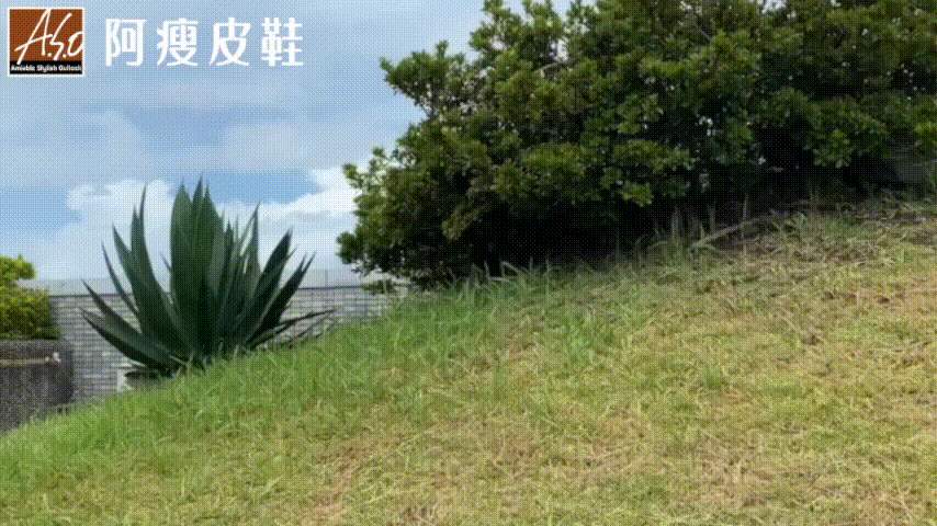 20240806_143735_023.gif