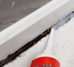 pic_016.gif