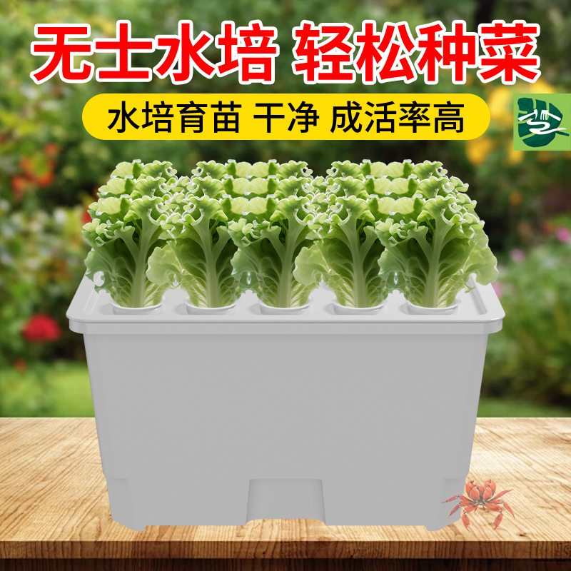 15-Hole Hydroponic Vegetable Growing Box, Soilless Cultivation Balcony Vegetable Growing Machine, Hydroponic Plant Seedling Cultivation, Children's Teaching Vegetable Growing Machine
