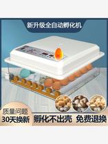 New Vida Incubator Fully-automatic Smart Incubator Small Home Hatchery Hatching Small Chickens Machine