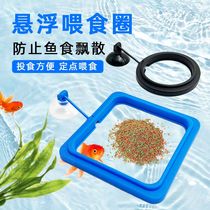 Parrot fish turtle fish tank fish food floating feeding ring suspended fish feeding ring koi large aquarium floating