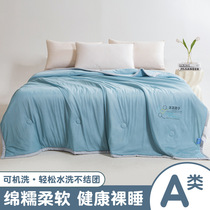 Ice cream cooling summer cool quilt air-conditioned summer quilt single double quilt summer thin quilt core ice silk quilt machine washable