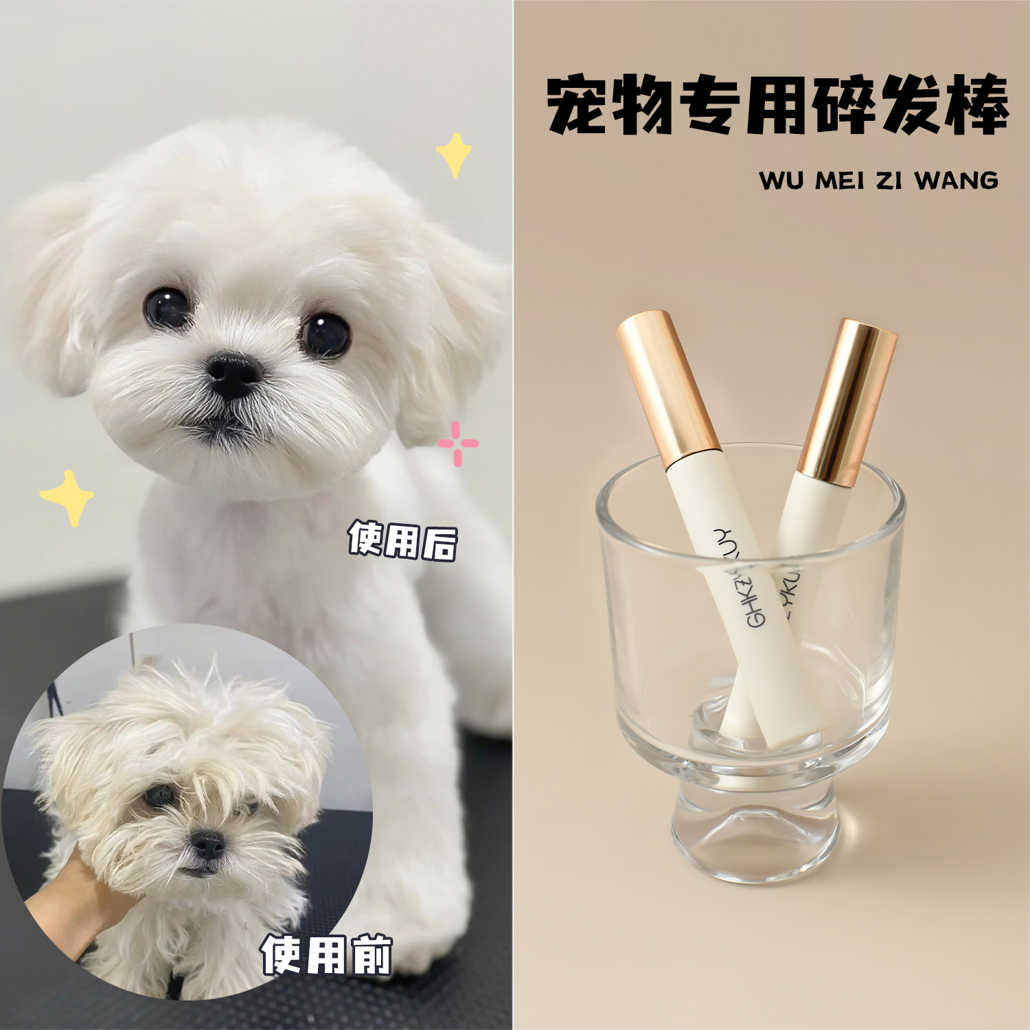 约克夏犬的毛会随着年龄增长而褪色吗？ : r/Yorkies, image size:1500x1500