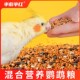 Parrot sky ຂະຫນາດນ້ອຍແລະຂະຫນາດກາງ parrot ອາຫານໂພຊະນາການອາຫານນົກອາຫານປະສົມອາຫານ peony ສີດໍາ phoenix ອາຫານພິເສດ