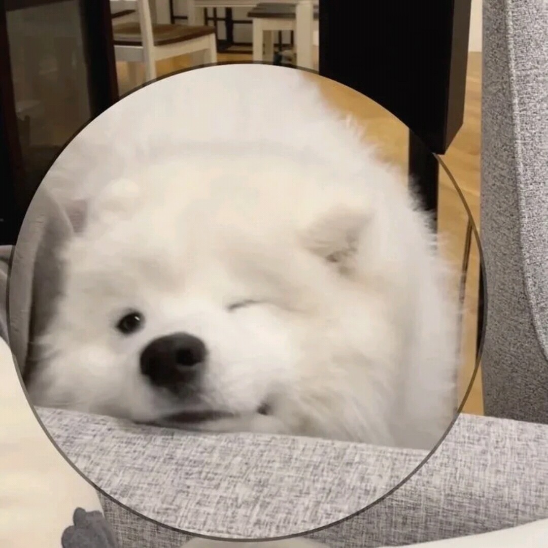 Puppy百宝园