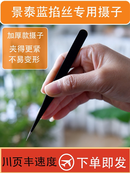 镊子夹子景泰蓝掐丝珐琅不锈钢加厚手工diy尖头高精度黑色防静电