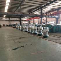 BQS1000-60-315 N submersible pump oil chamber isolation wear-resistant alloy cast iron mining sand and sewage pump