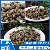 Shaanxi bean stone natural pebble paving ground warm special bean stone to fill back small stone filter