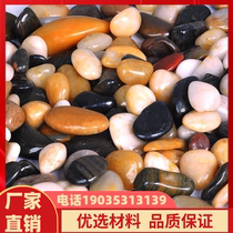 Tianjin cobblestone rain flower stone fish tank flower pot goose soft stone raw stone natural small stone courtyard decoration colorful stone