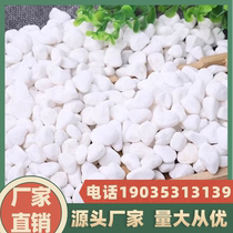 Chongqing black pebbles white stone paving stones flower fish tank garden natural rain flower stone colored rough stone