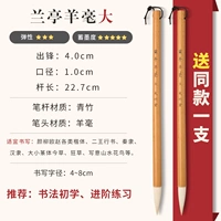 Овцы с лантами (купи один, получи один, получи один)