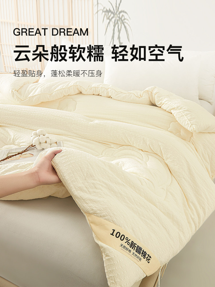 Muji 2025 New Xinjiang Cotton Quilt Winter Quilt Double Pure Cotton Filling Spring and Autumn Quilt Cotton Quilt Core
