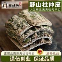 Yunnan wild wild eucommia raw Chinese medicinal materials 500g eucommia bark soaked in tea and wine sulfur-free non-morinda special grade