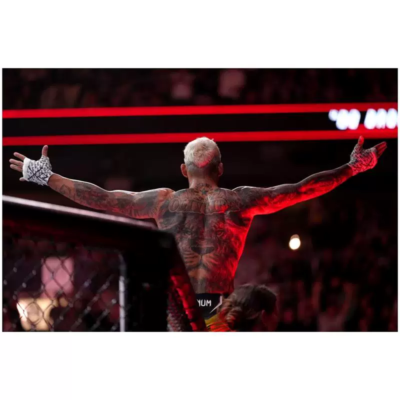 Плакат Ольвила UFC звезда Бойцовский алмаз Бойцовская боксальная палата общаги настенная обойная декорация картина