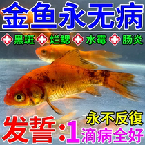 Goldfish black spot disease universal disease specializes in gill rot water mold enteritis white spot disease disinfectant sterilization drug comprehensive rehabilitation agent