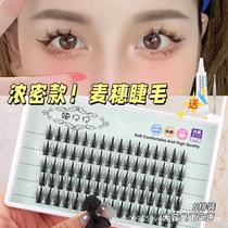 A-type fishtail type mixed false eyelashes for women grafted fairy hair single cluster fairy eyelashes natural simulation curling