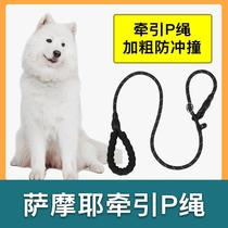 Samoyed special traction rope dog rope explosion-proof P chain dog walking anti-breakaway large and small dog leash