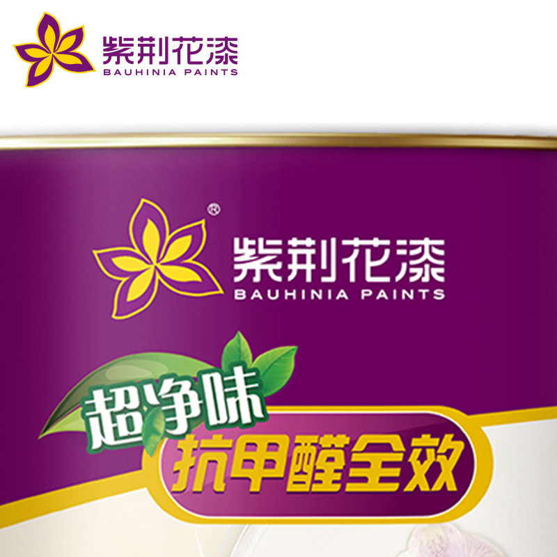 �Ͼ����Ό��ȩ��ζǽ����ISE11