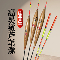 Highly sensitive reed float light-mouthed crucian carp tilapia float hand-made float bold and eye-catching large fish float