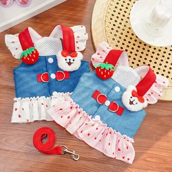Pet Cat and Dog Clothes, Princess Dress, Thin Denim Cartoon Leash Dress, Small Dog Spring and Summer Clothing, New Product