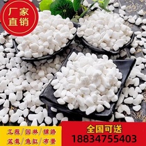 Fujian Dry Landscape Stone Black White Gray Gravel Japanese Garden Gravel Granules Decorative Landscaping Stone