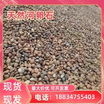 Jiangsu cobblestone Yuhua stone river pebble transformer 5-8 cm cobblestone river beach paving landscaping cobblestone