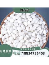 Jiangxi Baishizi gravel white pebbles courtyard paving balcony landscaping gravel garden camping small white stones