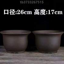 Clear Cabin Green Radish large flower pot ceramic flower pot Porcelain Flower Pot ceramic Multi-meat seed Trees with flower pot caliber large flower pot flower pots