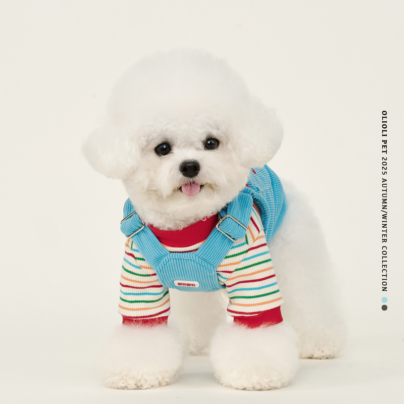Olioli Pet Dog Clothes Small Dogs Bichon Schnauzer Teddy Yorkshire Leash Buckle Pet Harness Spring