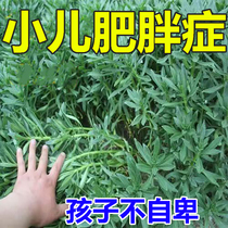 (Super fast weight loss) Childrens Obesity Patch Childrens Obesity Patch treats childrens obesity artifact with a big belly thick waist and legs GH