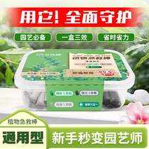 Plant Emergency Nutrition Rod upgraded version floral disease conflated yellow leaf withered root First Aid Bag universal rooting powder