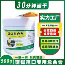 Tree Wound Healing Cream Fruit Tree Wound Coating Agent Tree Trauma Applicator Trunk Seal Healing Agent