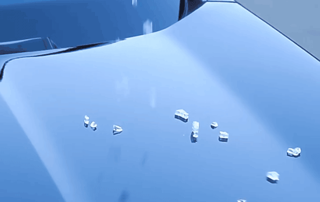 23.gif