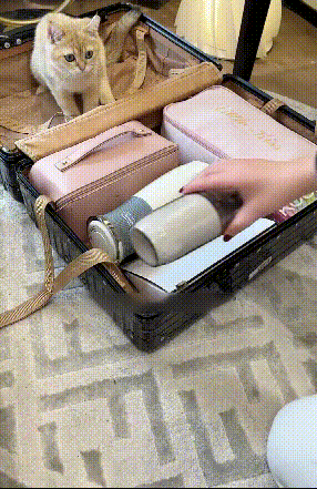019.gif