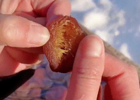 44.gif