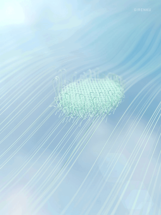 036.gif