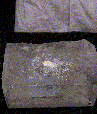 21.gif