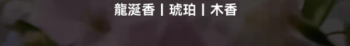 DM_20250513161746_021.png