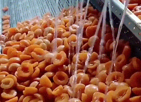 20.gif