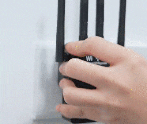 21.gif
