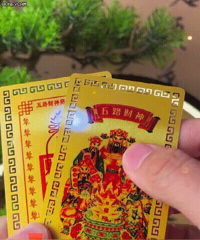 P_023.gif