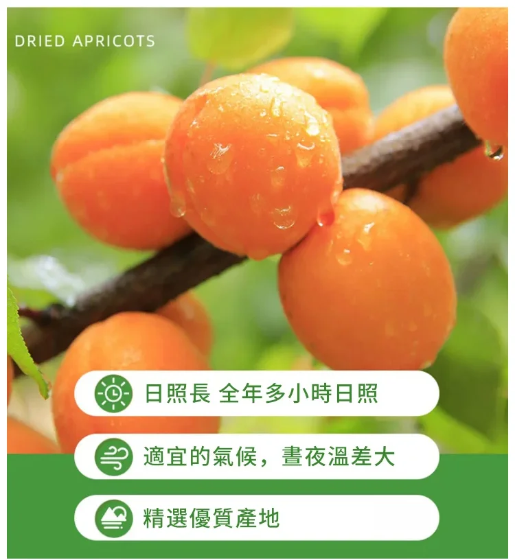 P_040.webp