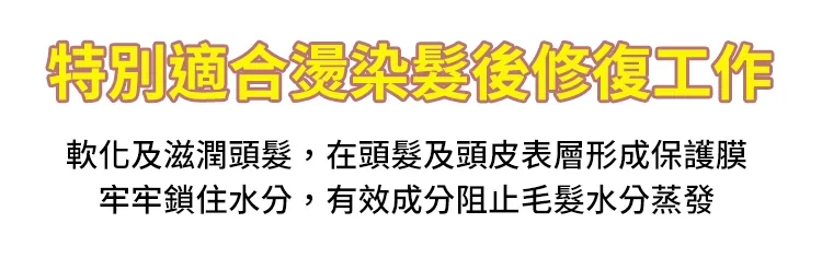 19.webp
