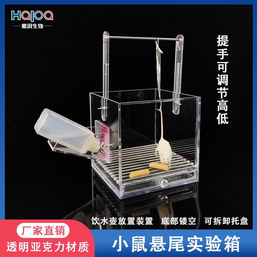 大小鼠悬尾实验箱强迫游泳桶小鼠旷场实验箱新物体识别社交行为箱