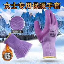 Small Number of warm Wang Raubao gloves female work abrasion-resistant thickened winter cold storage Working with velvet dip gel waterproof