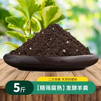 [Вторая ферментация] 5 фунтов органического удобрения овца навоза