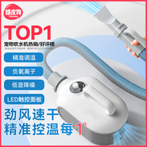 Hair dryer for dogs pet dryer for bathing large dog household cat silent blowing tool