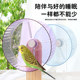 鹦鹉跑轮静音小太阳虎皮牡丹小鸟锻炼训练啃咬解闷玩具解压用品